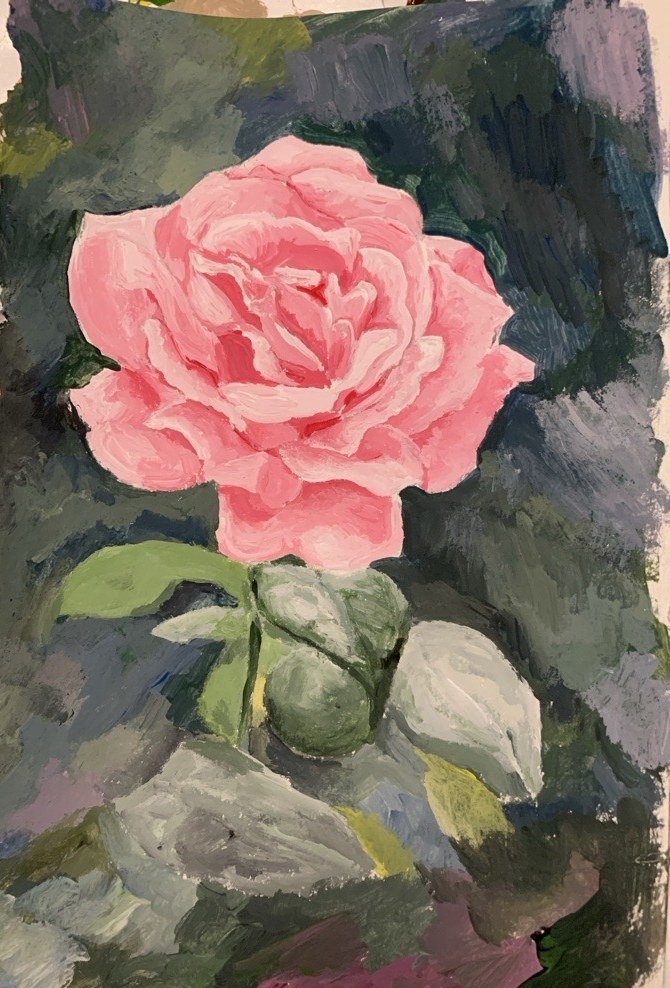 Pink Rose