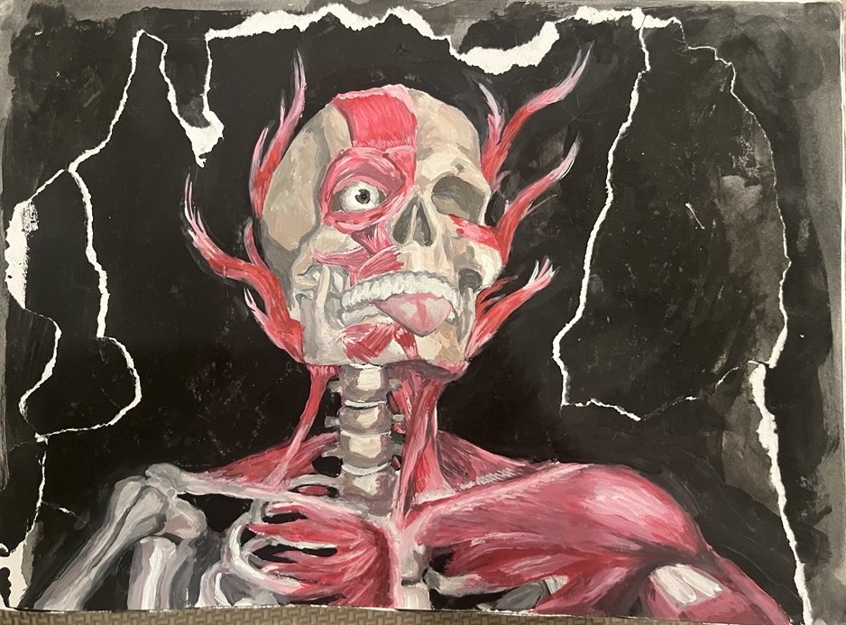 Flayed Skull